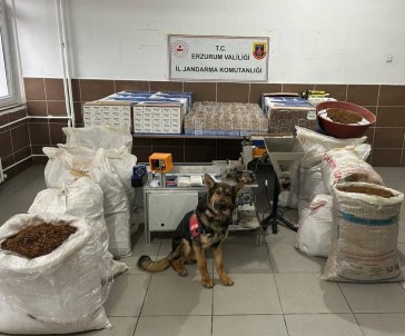 Jandarmadan Kaçak Sigara Operasyonu
