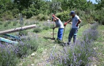 Kemer'de 'Mor Turizm' Basliyor