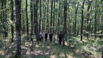 Ormanda 15 Gün Önce Kaybolan 2 Genç Jandarma Tarafindan Bulundu
