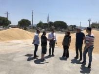 TMO Hububat Alimlarina Devam Ediyor