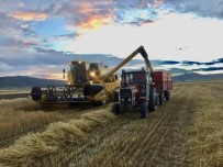 Doluya Ragmen Dönümden 500 Kilogram Verim Alan Çiftçi Memnun