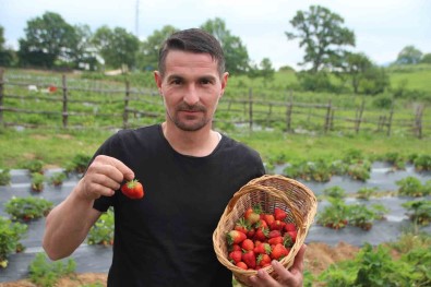 (ÖZEL) Hobi Olarak Basladigi Çilek Yetistiriciliginde Hedefi Yurtdisina Ihracat