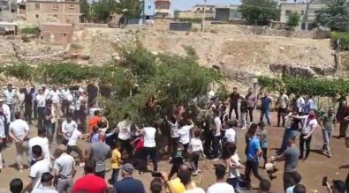 Siirt'te Damat Çiftçi Olunca Dügün Konvoyu Traktörlerden Oldu