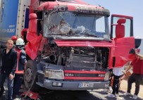 Mardin'de Tir Kazasi Açiklamasi 1 Yarali Haberi