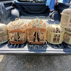 Kaçak Avcilara 30 Bin Lira  Ceza