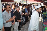 Ibrahim Yasar Dedelek'in Aci Günü