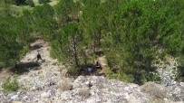 Karabük'te 4 Metre Yükseklikten Düsen Çocuk Yaralandi