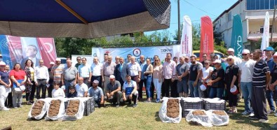 Samsun'da Çilek Üreticisine 750 Bin Fide Destegi
