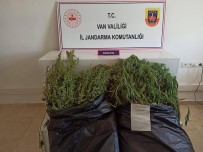 Van'da Hint Keneviri Operasyonu