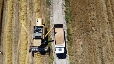 Çorum Belediyesi Ihtiyaç Sahiplerine 15 Ton Un Dagitacak