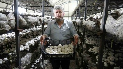 Iki Ayda 5-6 Ton Üretiyor, Taleplere Yetisemiyor