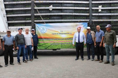 Kislik Sebze Fideleri Toprakla Bulustu