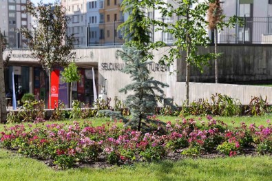 Mevlana Meydani'nda Geri Sayim