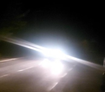 Depremde Ürken Sokak Köpekleri Uludu