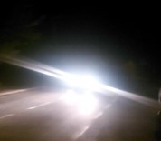 Depremde Ürken Sokak Köpekleri Uludu