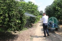 Turunçgilde Akdeniz Meyve Sinegine Karsi Sifir Toleransli Mücadele