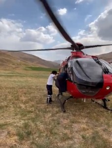 Van'da Ari Sokmasiyla Rahatsizlanan Kadin Ambulans Helikopterle Hastaneye Kaldirildi