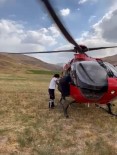 Van'da Ari Sokmasiyla Rahatsizlanan Kadin Ambulans Helikopterle Hastaneye Kaldirildi