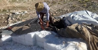 Bahar Aylarinda Koruma Altina Aldiklari 'Kar Daglarini' Agaç Motoruyla Kesiyorlar