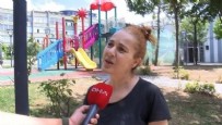 Bayrampaşa'da kedilerin zehirlendiği iddiası ortalığı ayağa kaldırdı!