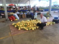 Hisarcik'ta Yerli Kavun Ragbet Görüyor