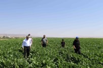 Agri'da Tarim Ve Orman Müdürü Engin'in Çiftçi Ve Veteriner Hekim Ziyaretleri