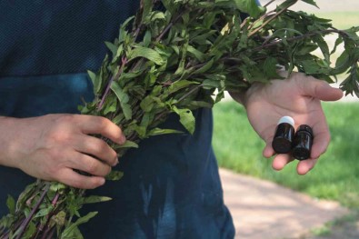 Bu Yagin Litresi 35 Bin TL