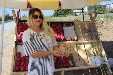 Faydalari Saymakla Bitmiyor, 250 Grami 50 TL'den Satiliyor