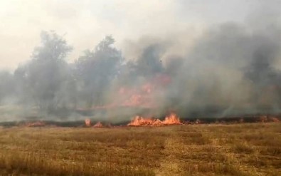 Isparta'da Traktörden Siçrayan Yangin Korku Dolu Anlar Yasatti