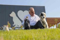 Denizli Büyüksehir Ilk 7 Ayda 506 Sokak Hayvanina Yuva Buldu