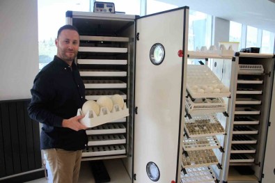 ABD'de 4 Yilda 60 Kat Büyüyen Türk Sirketinin Basarisi Gurur Kaynagi Oldu