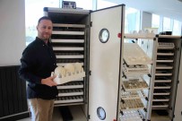 ABD'de 4 Yilda 60 Kat Büyüyen Türk Sirketinin Basarisi Gurur Kaynagi Oldu