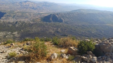 Diyarbakir'da Çikan Yangin 25 Saat Sonra Kontrol Altina Alindi