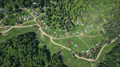 Düzce'nin Serinleten Yaylalari