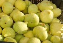 Mersin'de Beyaz Incir Altin Yilini Yasiyor