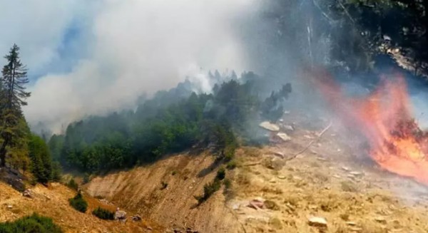 Kahramanmaraş’ta orman yangını! İki noktada devam ediyor