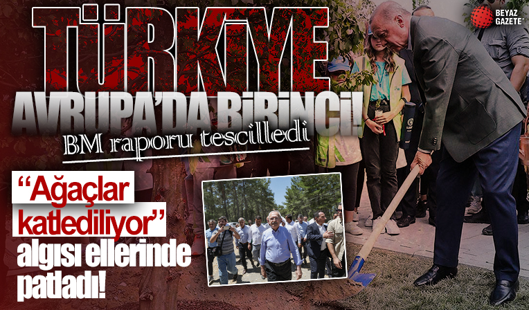 BM Türkiye'nin başarısını tescilledi! Ağaçlandırma yapan ülkeler klasmanında Avrupa'da birinci, dünyada 6'ncı sıradayız