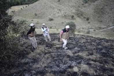 Çikan Mera Yangininda 150 Dekar Alan Zarar Gördü