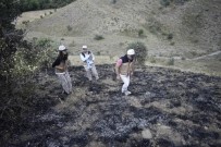 Çikan Mera Yangininda 150 Dekar Alan Zarar Gördü