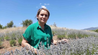 Seydikemerli Havvana, Kadinlara Hem Örnek Hem De Is Kapisi Oldu