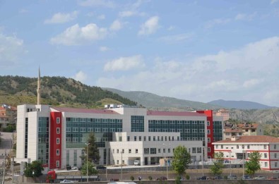 Tosya'da Son Iki Ayda 80 Kisi Kene Isirmasi Sebebiyle Hastaneye Müracaat Etti
