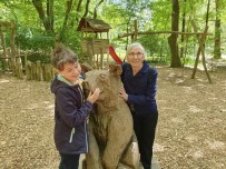 Alanya'da Kayip Alman Uyruklu Kadin Turist, 250 Kisilik Uzman Ekiple Araniyor