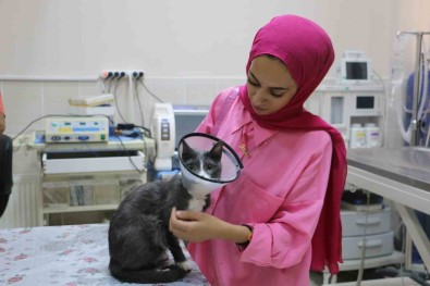 Bir Sene Içinde 6 Ameliyat Geçiren 'Duman', Ampute Edilerek Yasamini Sürdürüyor