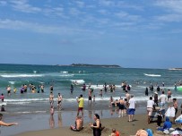 Kocaeli'de Son Bir Ayda 546 Kisi Bogulmaktan Son Anda Kurtarildi