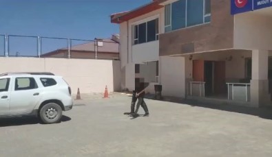 Van'da 5 Organizatör Tutuklandi