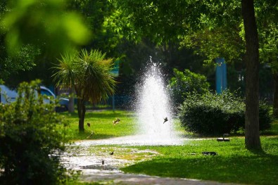 Bayrakli'ya Son 4 Yilda 152 Bin Metrekare Yeni Yesil Alan Kazandirildi