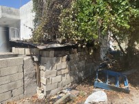 Odunluk Yangini Korkuttu