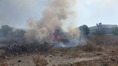 Otluk Alanda Çikan Yangin 1,5 Saatte Söndürüldü