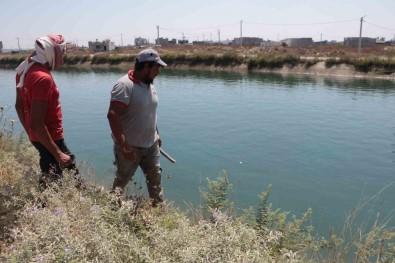 Sulama Kanalina Düsen 15 Yasindaki Yaprak Kayboldu