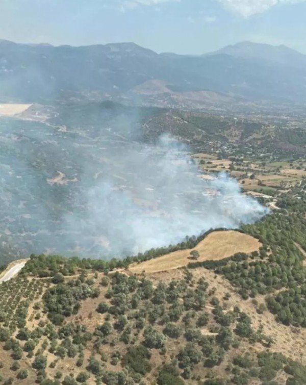 İzmir Ödemiş'teki yangın kontrol altına alındı